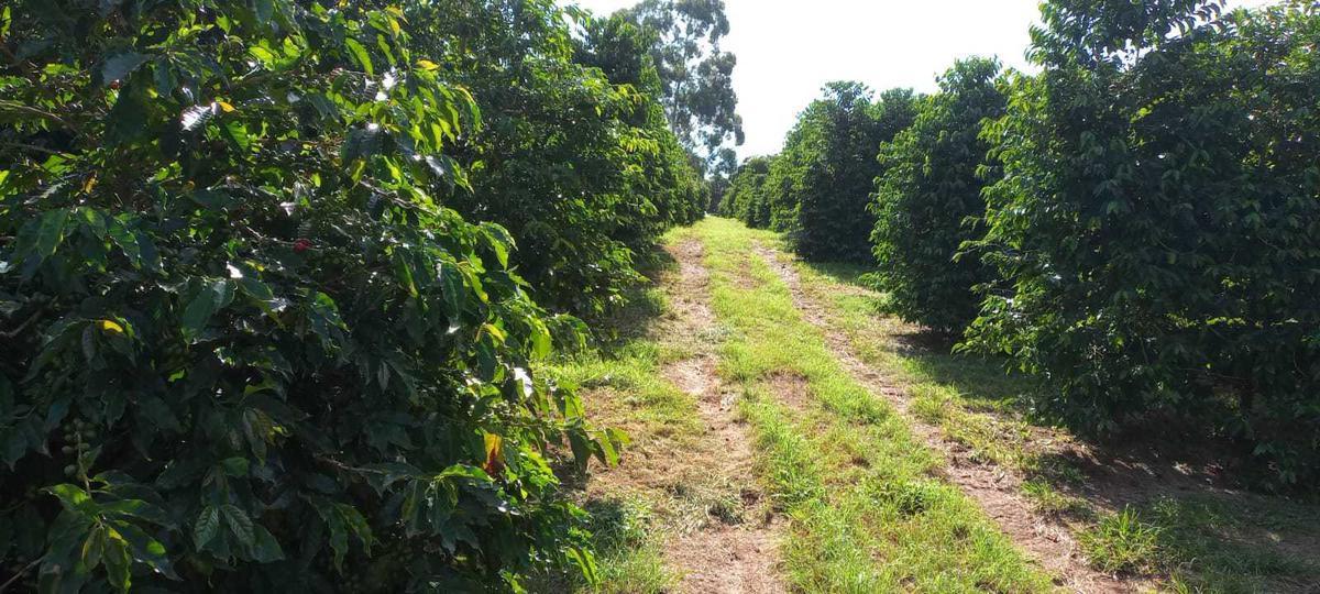 Fazenda, Zona Rural, 3 Quartos, 0 Vaga