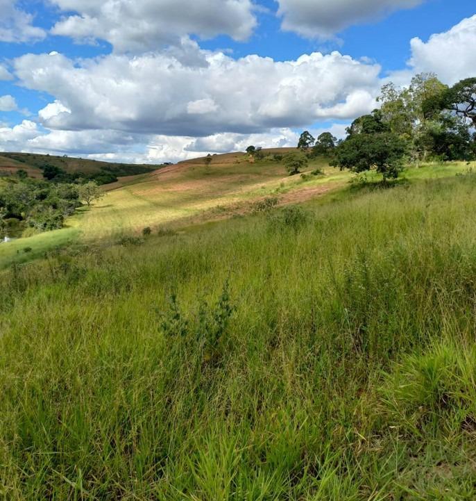 Fazenda, Centro, 3 Quartos, 0 Vaga