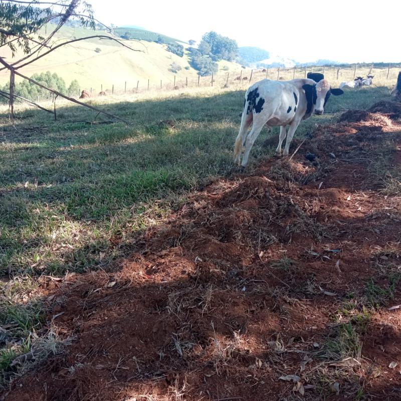 Fazenda, Zona Rural, 0 Quarto, 0 Vaga