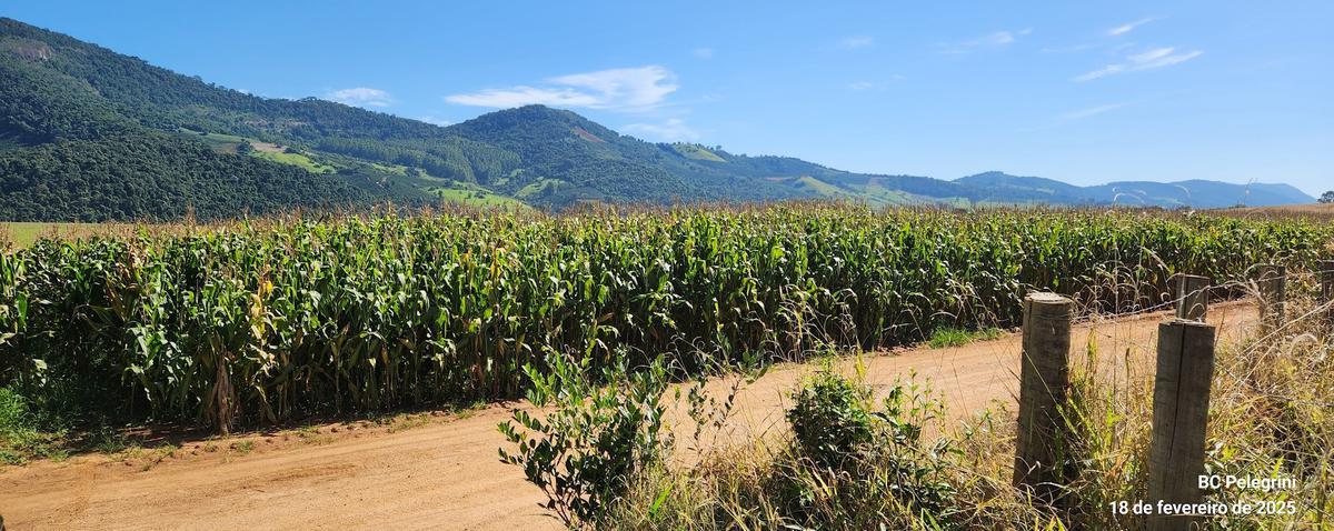 Fazenda, Zona Rural, 1 Quarto, 1 Vaga, 1 Suíte
