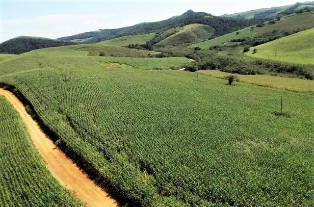 Fazenda, Centro, 7 Quartos, 2 Vagas