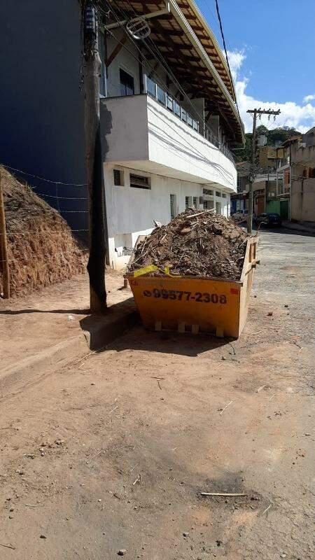 Lote, Palmeiras