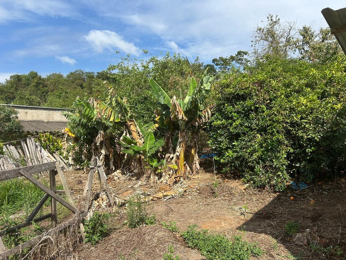 Fazenda, Centro, 2 Quartos, 5 Vagas