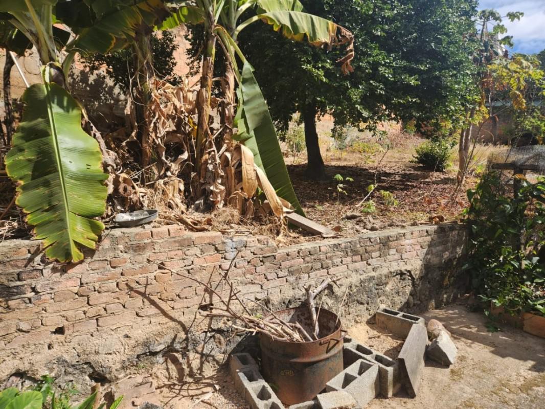 Lote, Pindorama, 0 Quarto, 0 Vaga
