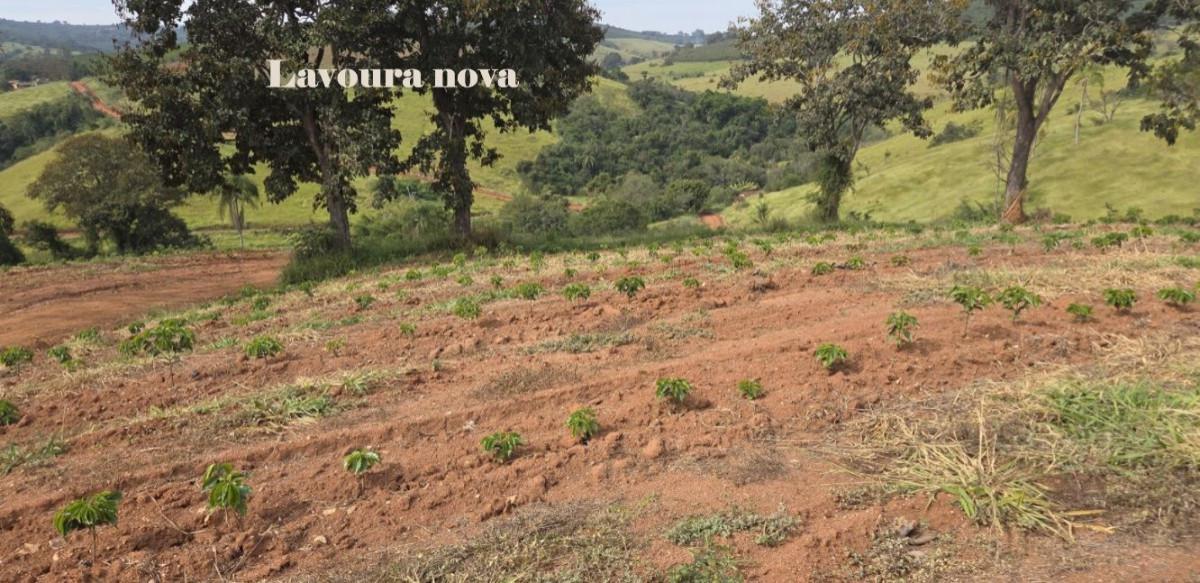 Fazenda, Zona Rural, 0 Quarto, 0 Vaga
