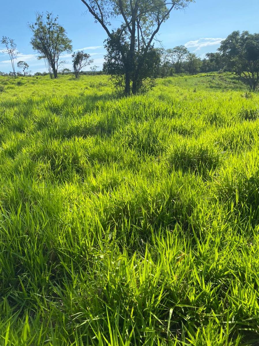 Fazenda, Centro, 4 Quartos, 2 Vagas