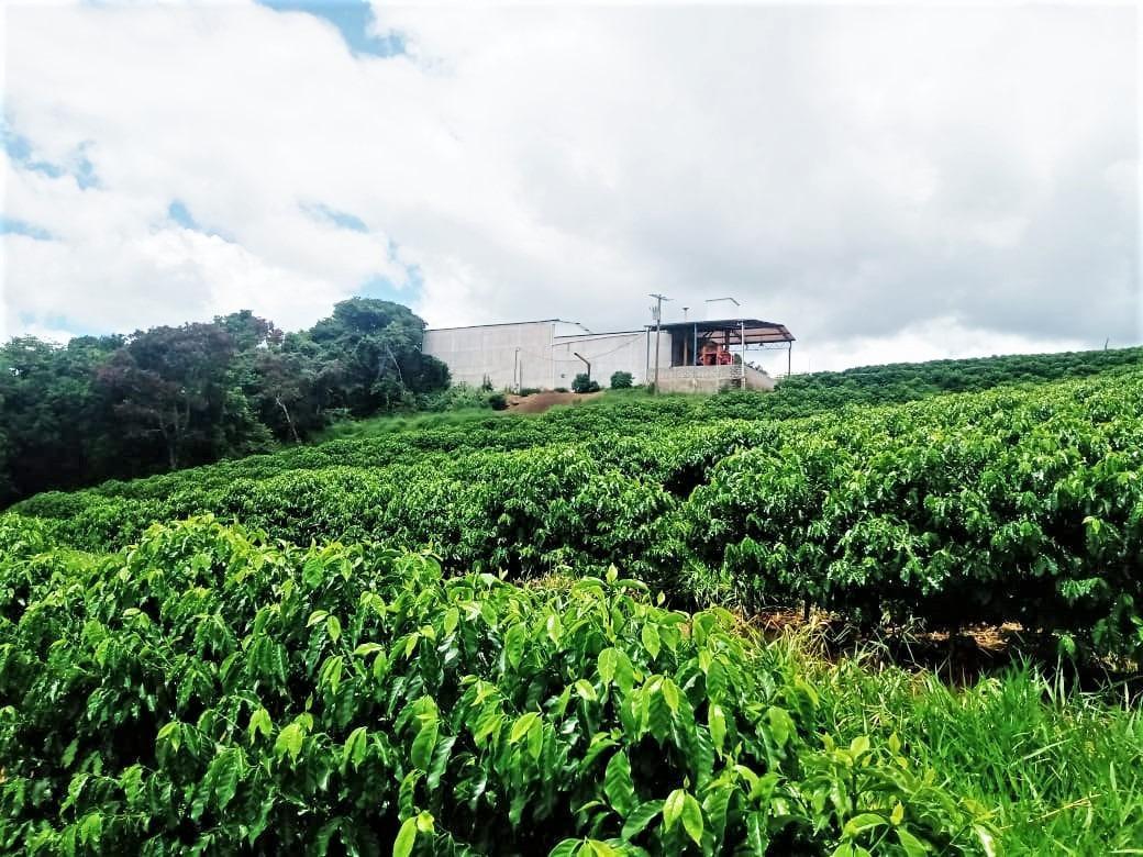 Fazenda, São Sebastião da Estrela, 1 Quarto, 1 Vaga, 1 Suíte