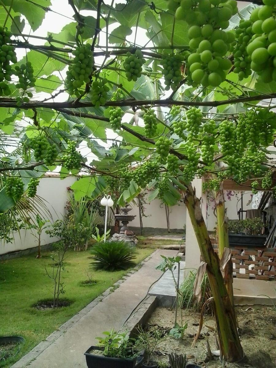 Casa, Jardim Vitória, 3 Quartos, 2 Vagas, 1 Suíte