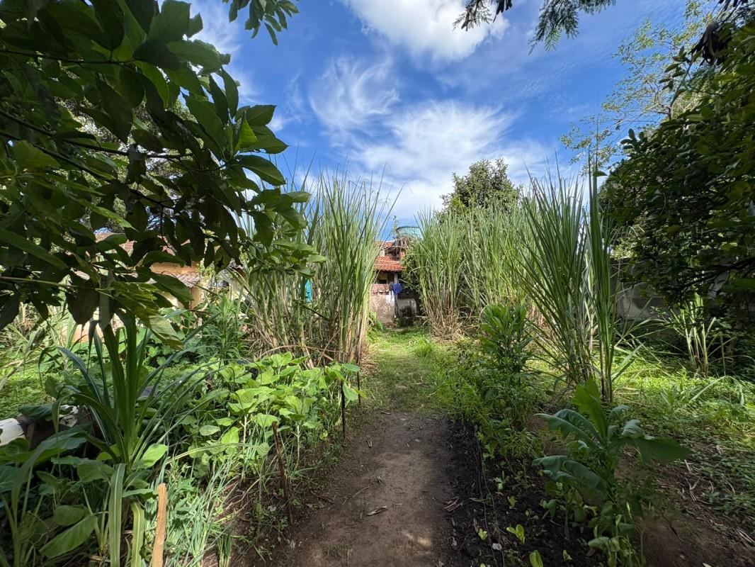 Fazenda, Bom Jardim, 0 Quarto, 0 Vaga