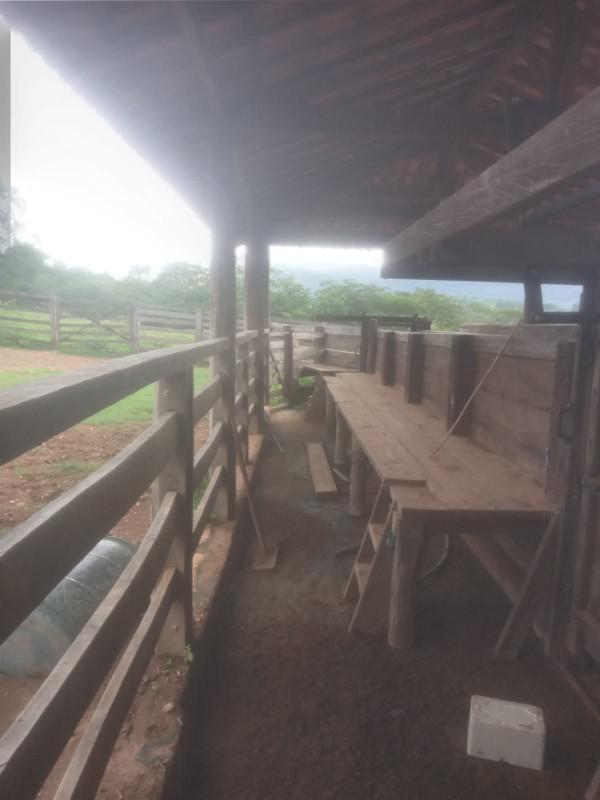 Fazenda, Centro, 10 Quartos, 0 Vaga, 2 Suítes