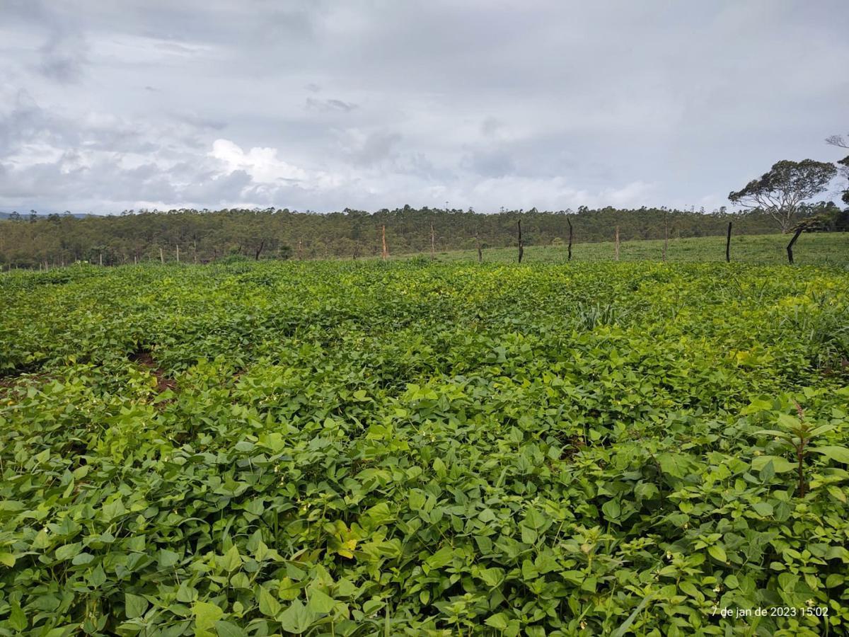 Fazenda, Centro, 3 Quartos, 4 Vagas, 1 Suíte
