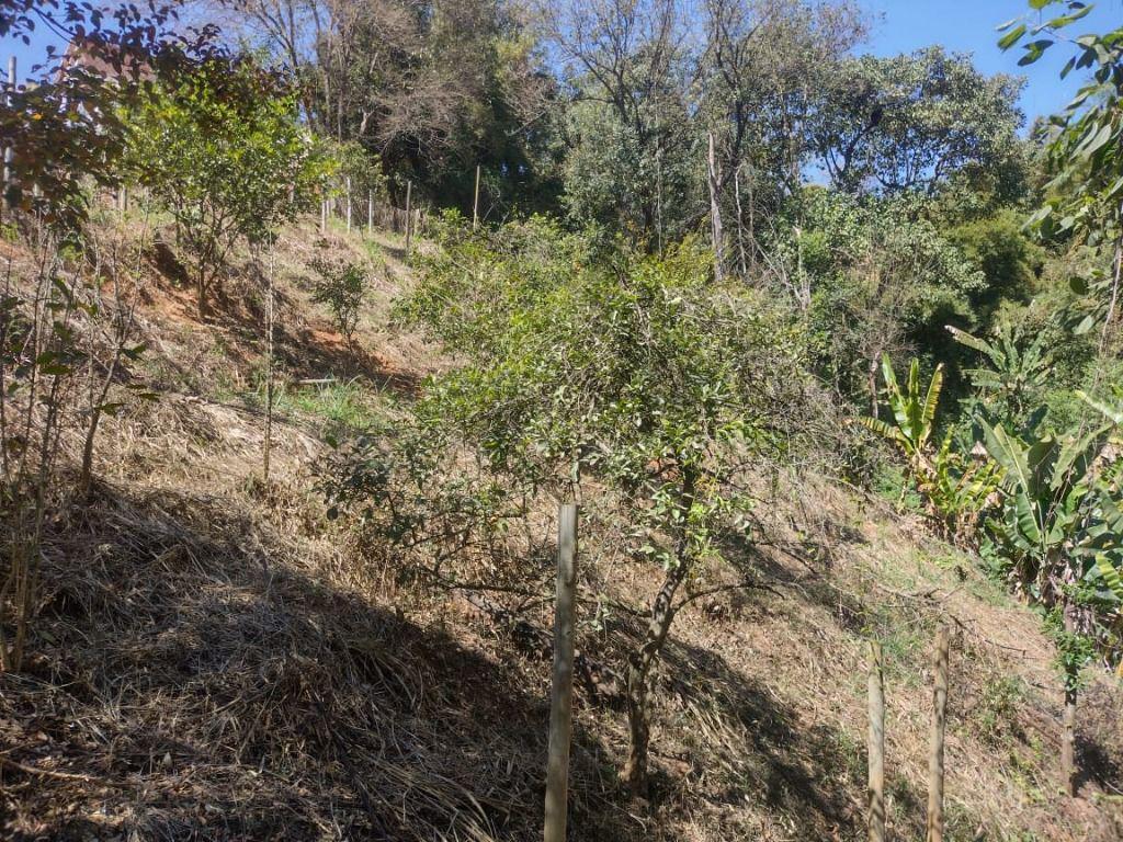 Lote, Esplanada, 0 Quarto, 0 Vaga