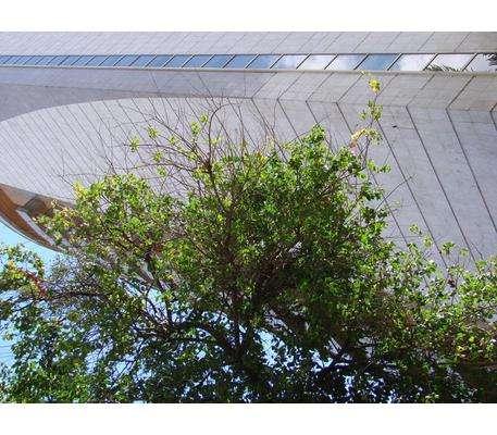 Apartamento, Funcionários, 4 Quartos, 4 Vagas, 4 Suítes