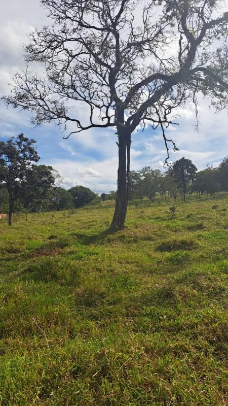 Lote, Tavares, 0 Quarto, 0 Vaga