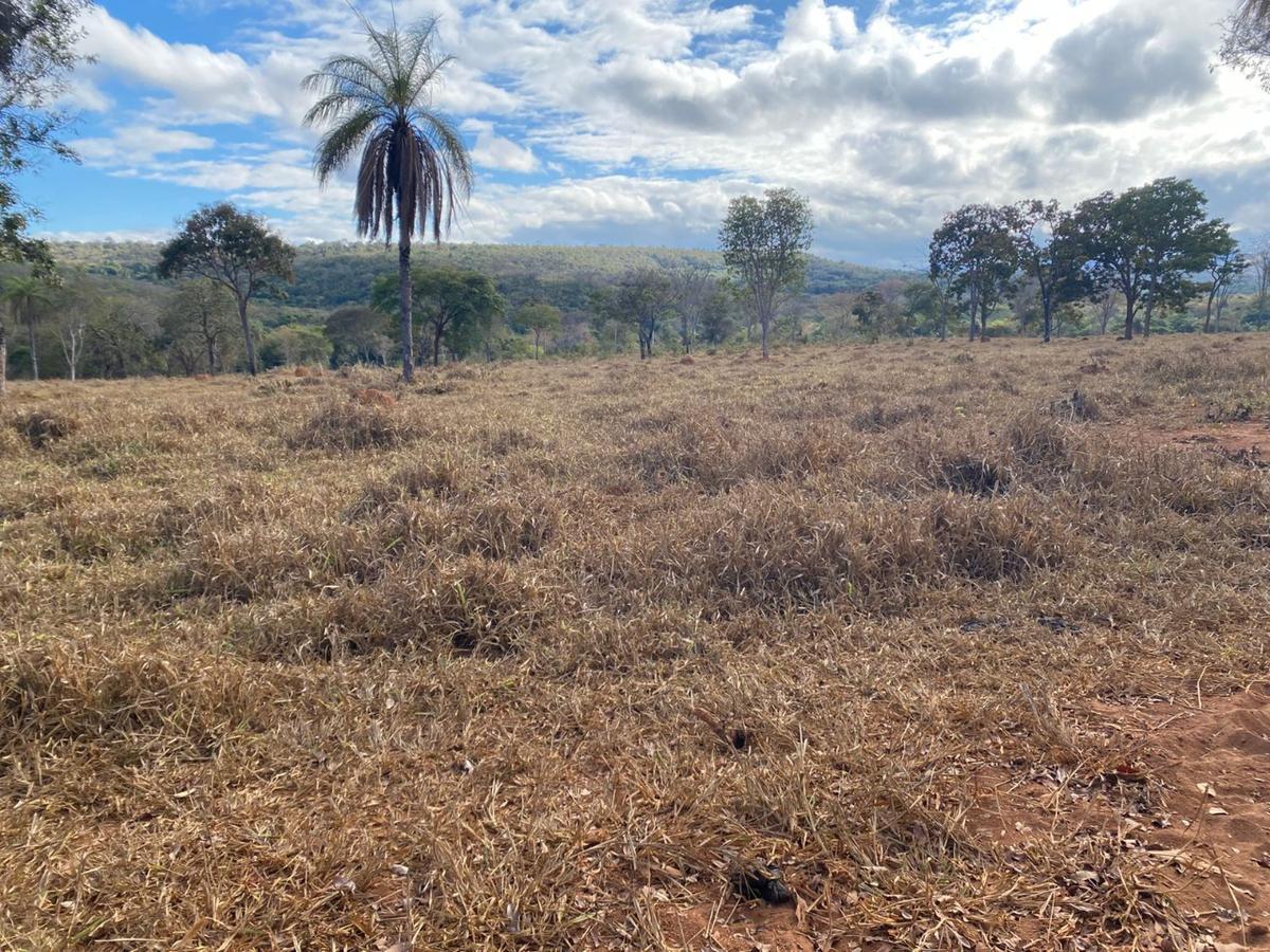 Lote, Centro, 0 Quarto, 0 Vaga