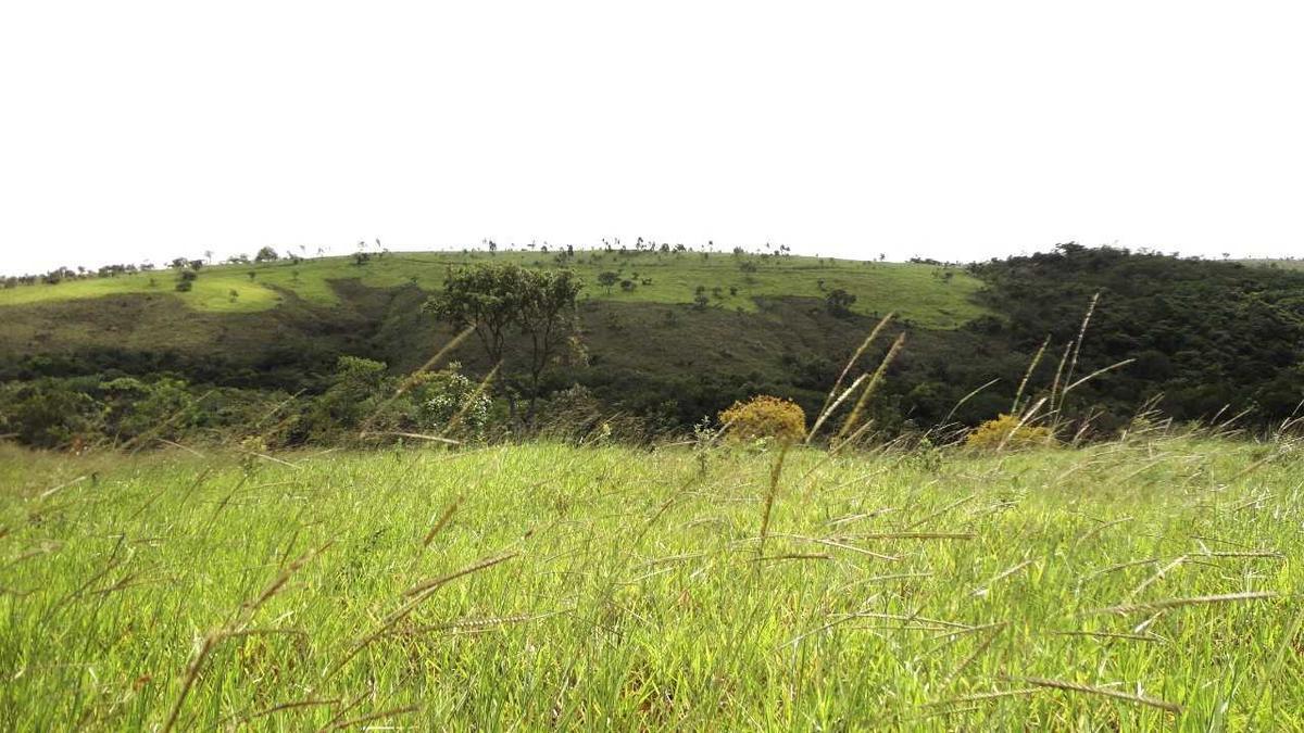 Fazenda, Zona Rural, 3 Quartos, 0 Vaga