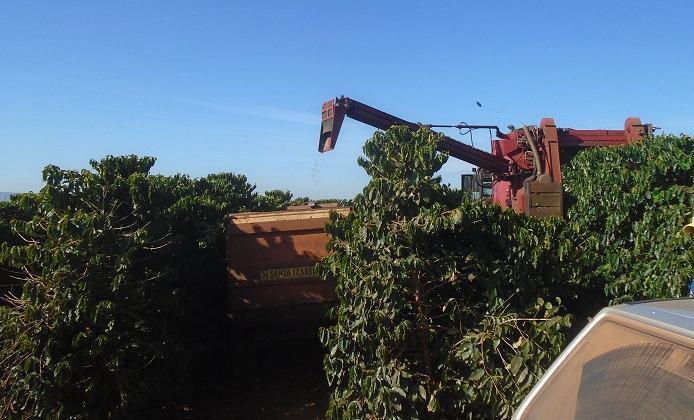 Fazenda, Zona Rural, 4 Quartos, 0 Vaga