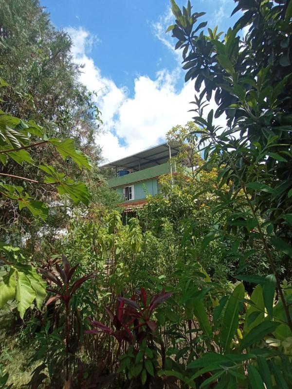 Fazenda, Macacos, 7 Quartos, 12 Vagas, 4 Suítes