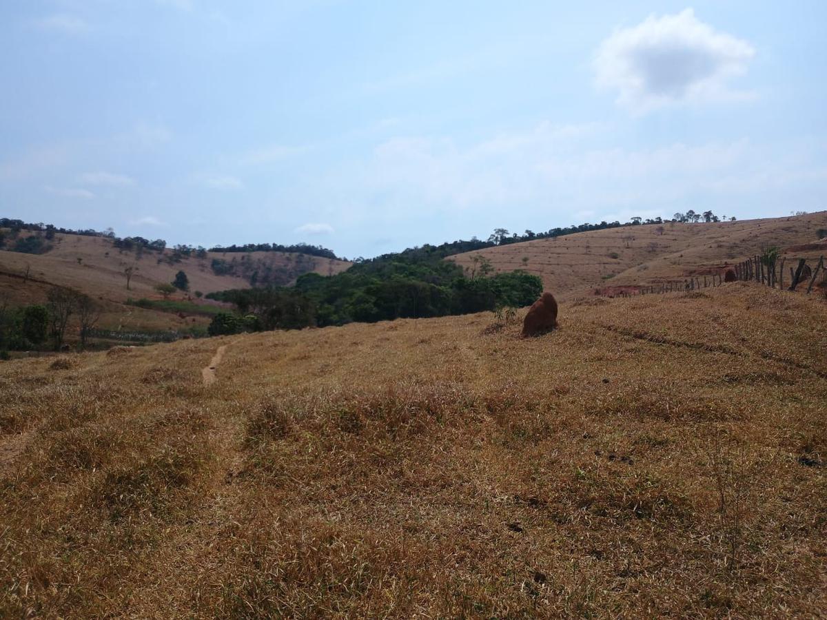 Fazenda, Centro, 3 Quartos, 10 Vagas, 1 Suíte