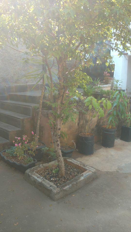 Casa, Betânia, 3 Quartos, 3 Vagas, 1 Suíte