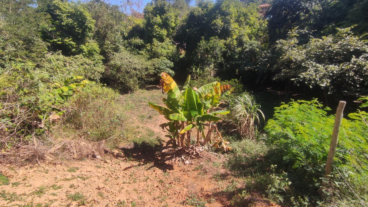 Lote, Centro, 0 Quarto, 0 Vaga