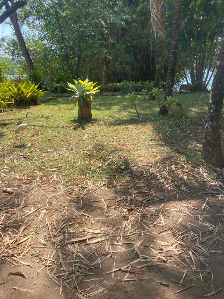 Fazenda, Centro, 6 Quartos, 5 Vagas, 2 Suítes