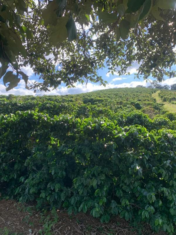 Fazenda, Centro, 2 Quartos, 1 Vaga, 1 Suíte