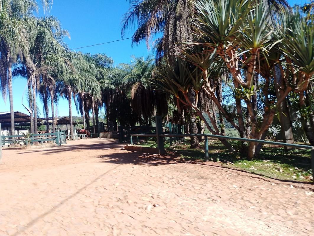 Lote, Centro, 0 Quarto, 0 Vaga