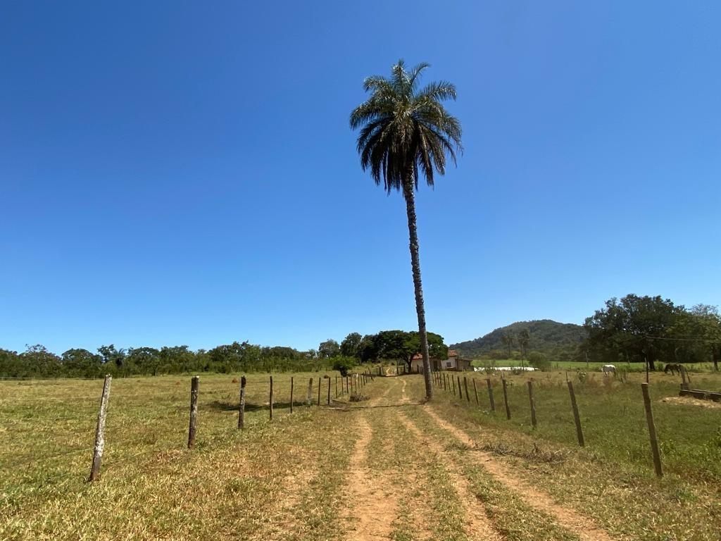 Fazenda, Zona Rural, 3 Quartos, 0 Vaga
