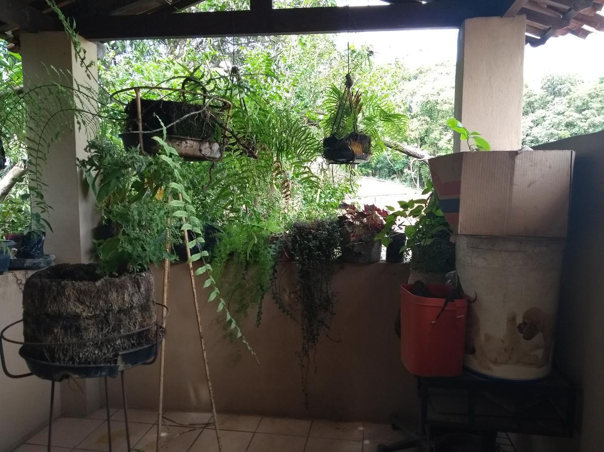 Casa, Planalto, 3 Quartos, 1 Vaga, 1 Suíte