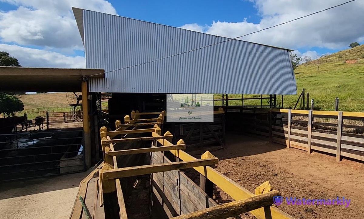 Fazenda, Centro, 6 Quartos, 4 Vagas, 1 Suíte
