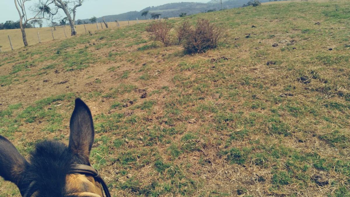 Fazenda, Zona Rural, 0 Quarto, 0 Vaga