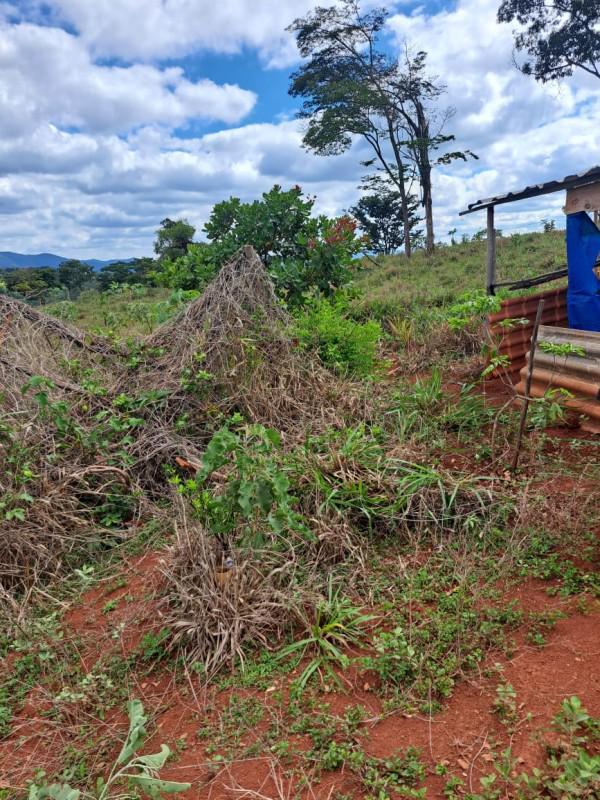 Lote, Zona Rural, 0 Quarto, 0 Vaga