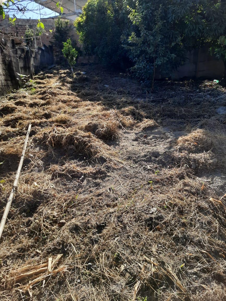 Lote, Sol Nascente, 0 Quarto, 0 Vaga