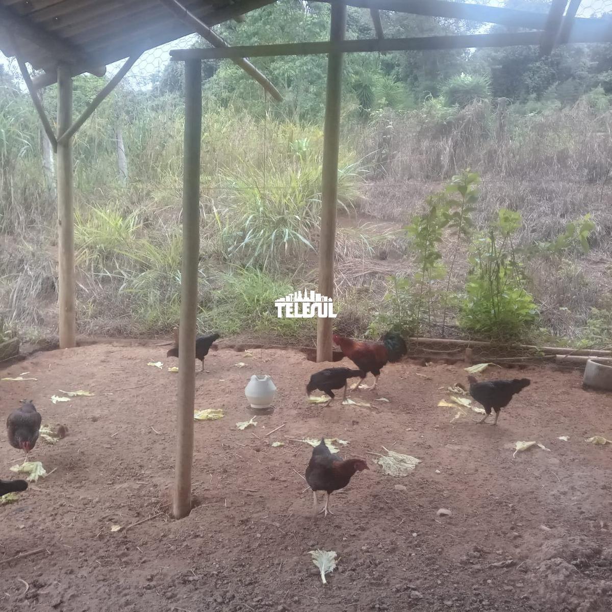 Fazenda, Zona Rural, 0 Quarto, 0 Vaga