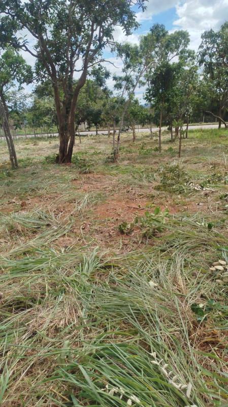 Lote, Zona Rural, 0 Quarto, 0 Vaga