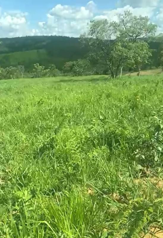 Fazenda, Centro, 4 Quartos, 2 Vagas