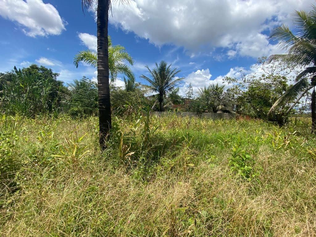 Lote, São Sebastião de Braúnas, 0 Quarto, 0 Vaga