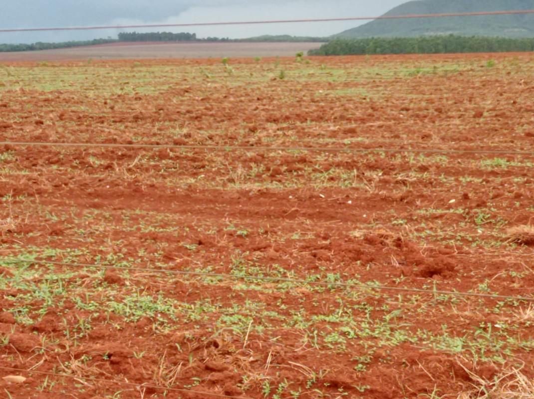 Fazenda, Zona Rural, 0 Quarto, 0 Vaga