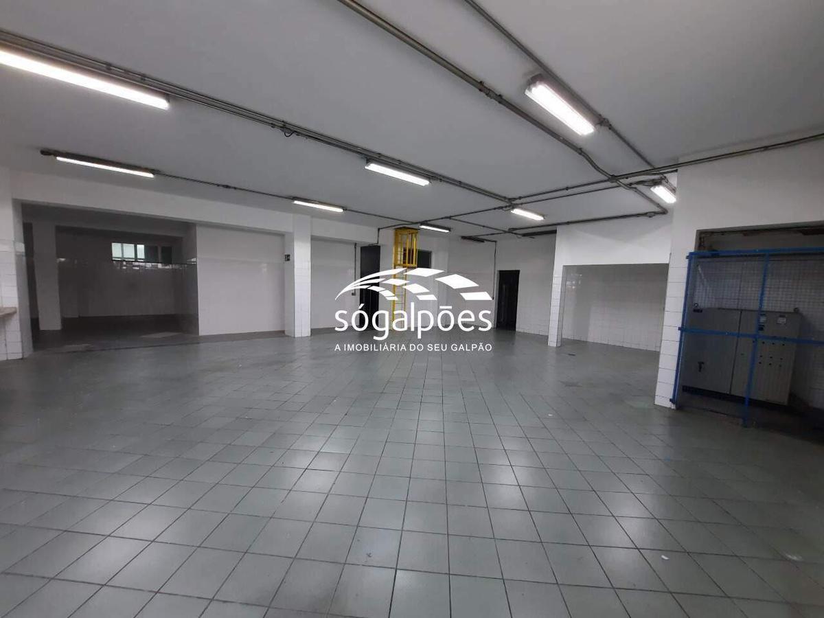 Galpão, Universitário