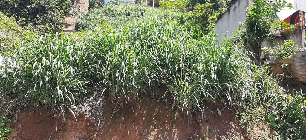 Lote, São José, 0 Quarto, 0 Vaga