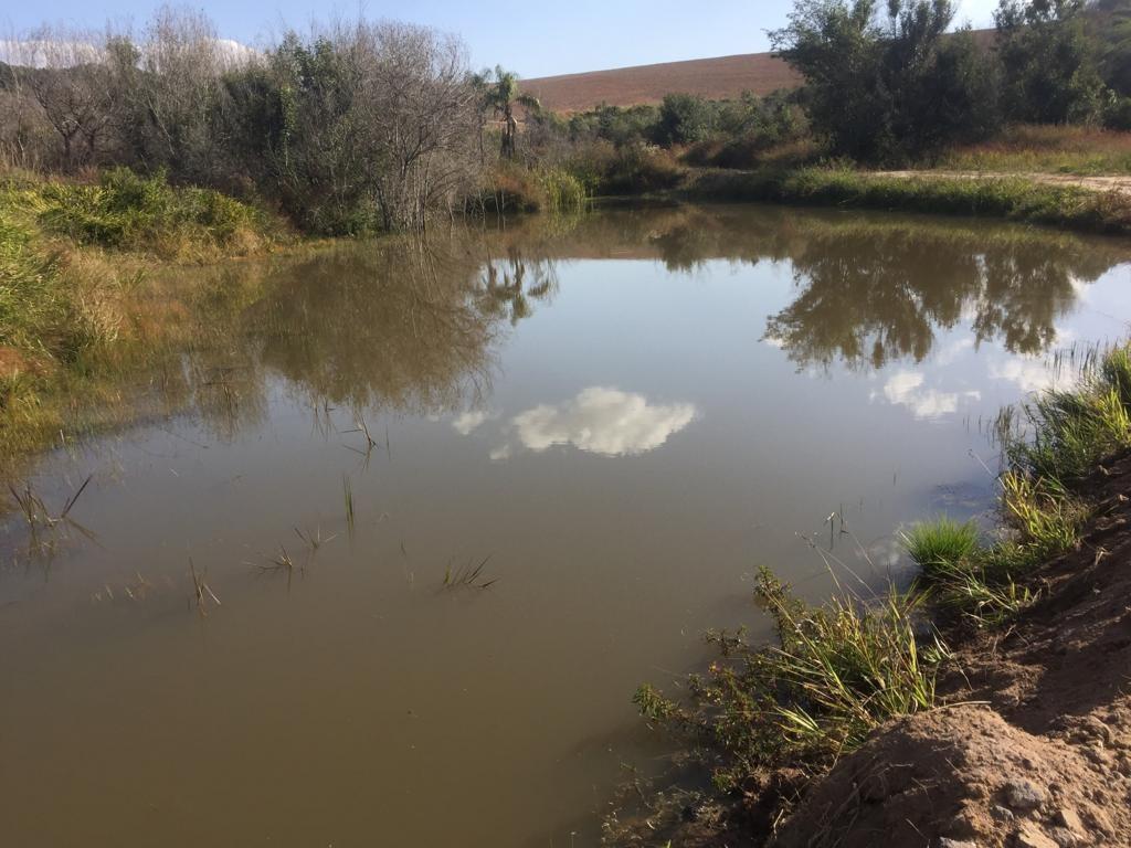Fazenda, Centro, 1 Quarto, 1 Vaga