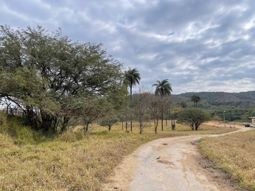 Lote, Lagoa dos Mares, 0 Quarto, 0 Vaga
