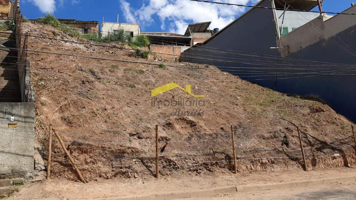 Lote, Palmeiras