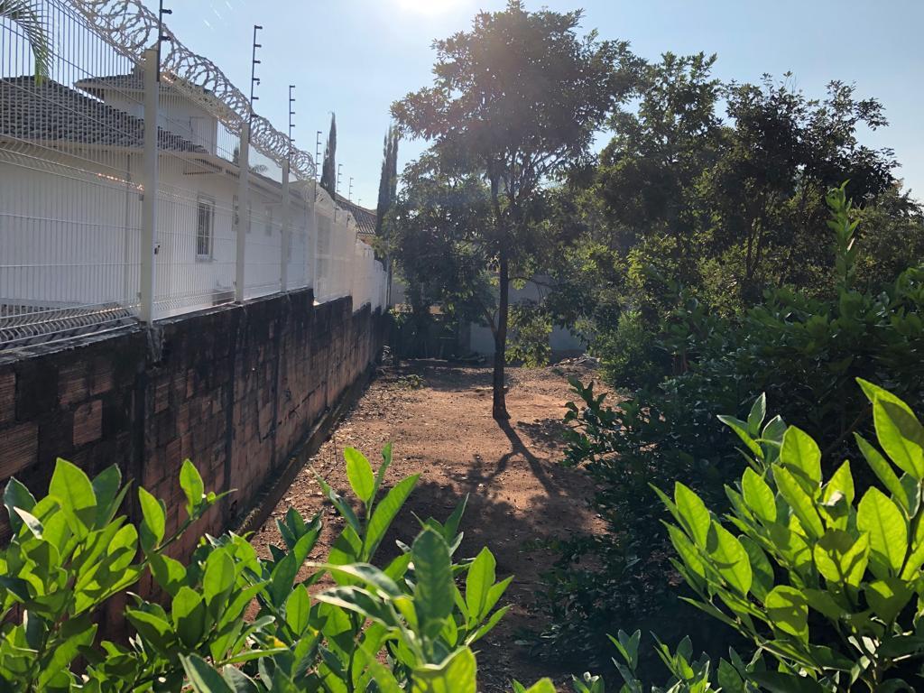 Lote, São Luiz (pampulha)