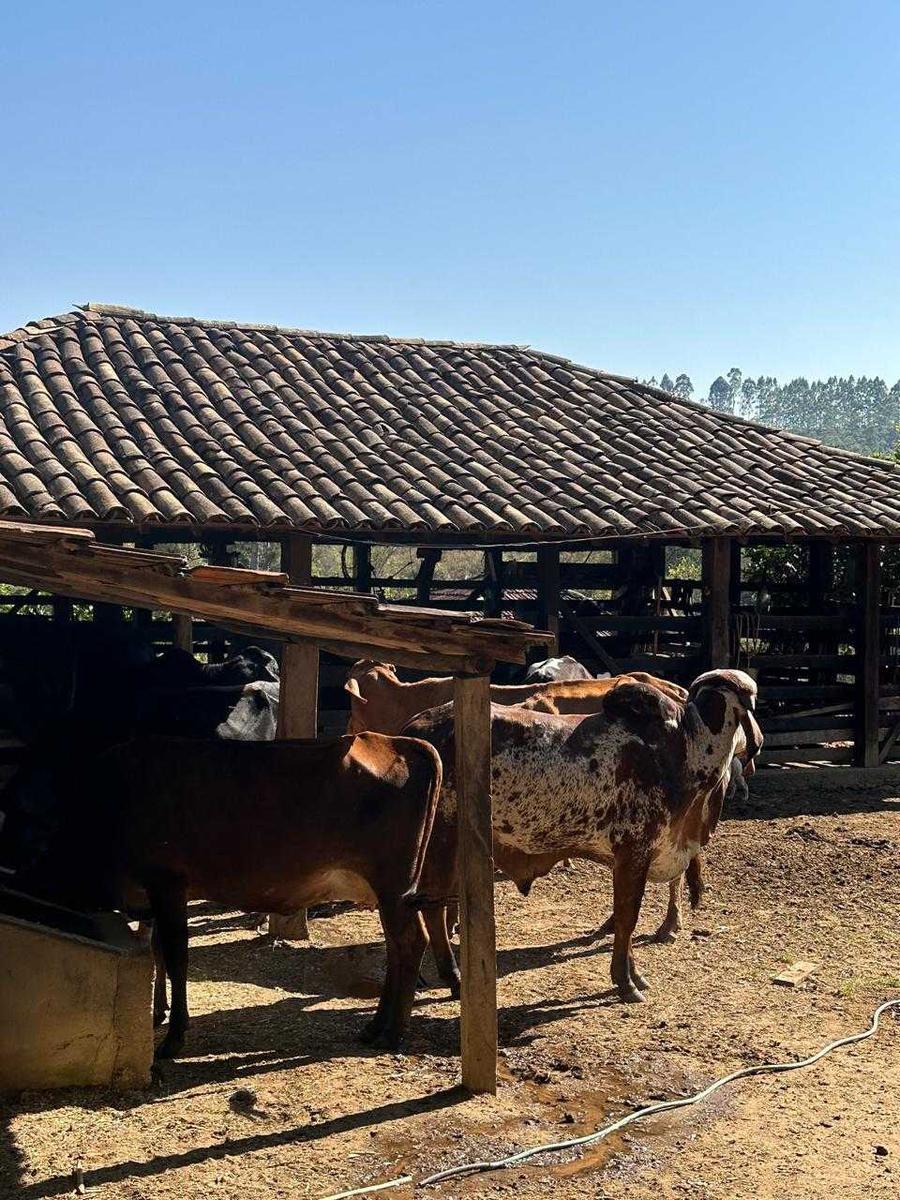 Fazenda, Zona Rural, 7 Quartos, 0 Vaga, 3 Suítes