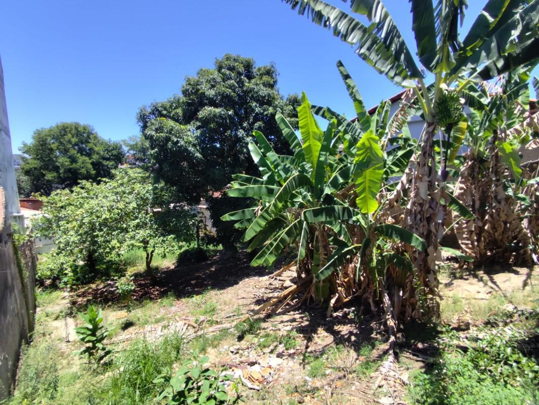 Lote, Planalto, 0 Quarto, 0 Vaga