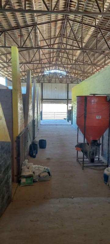 Fazenda, Centro, 0 Quarto, 0 Vaga