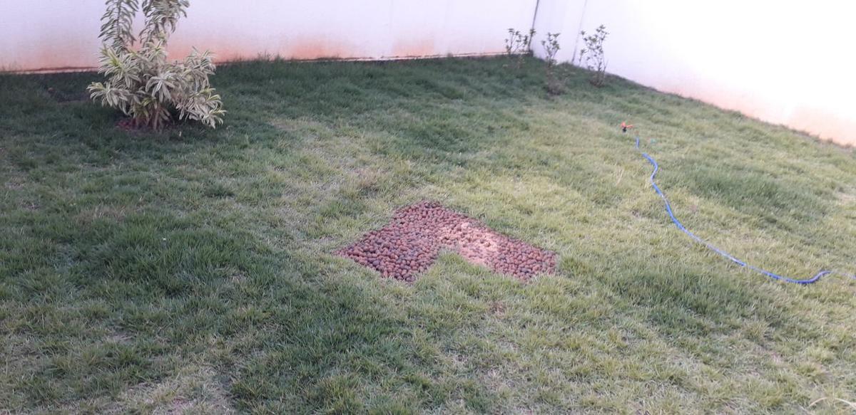 Apartamento, Planalto, 3 Quartos, 2 Vagas