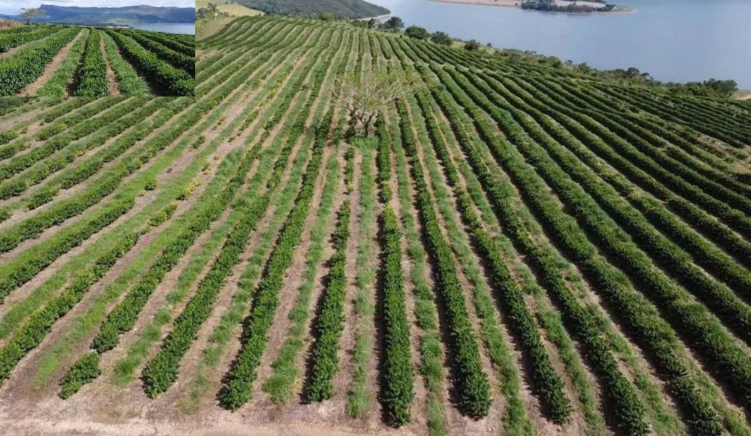 Fazenda, Zona Rural, 3 Quartos, 0 Vaga